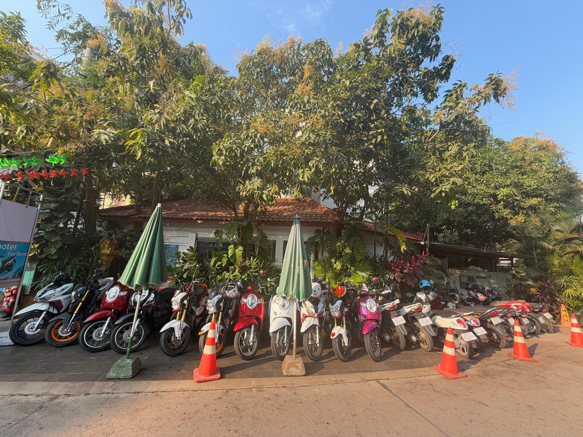 Asanak D'Angkor Boutique Hotel Siem Reap Eksteriør bilde
